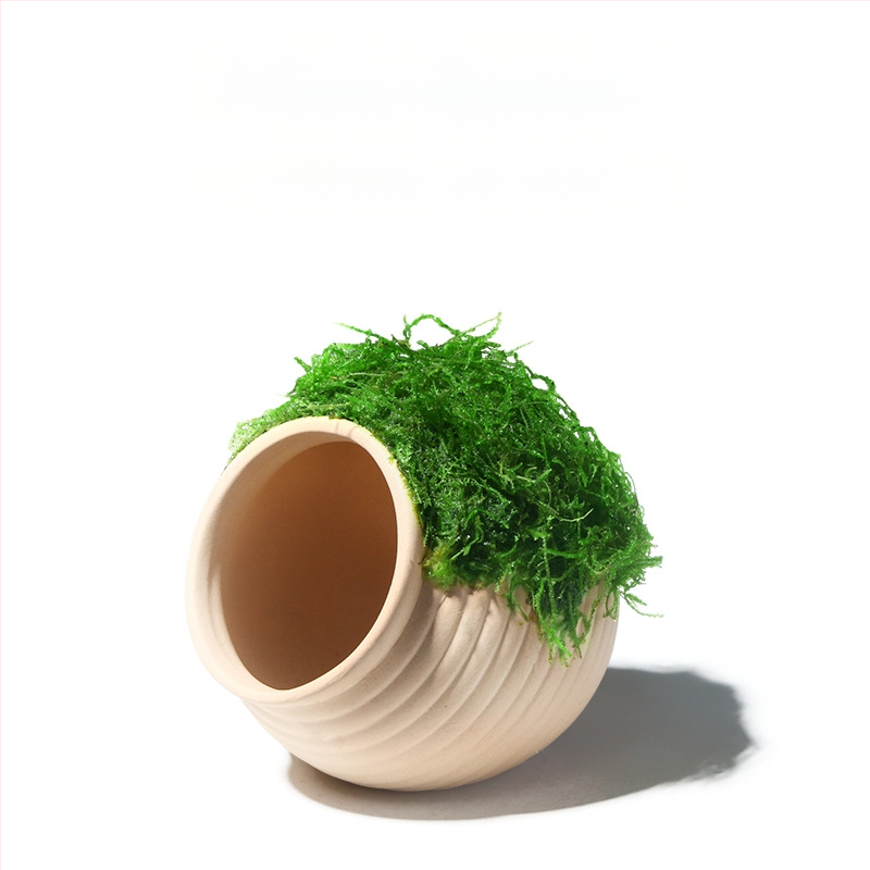 Keraminė akvariumo dekoracija – prieglobai ir kraštovaizdžiui; Prekės ženklas Crazy aquatic plants; Medžiaga keramika; Funkcija: prieglobai ir kraštovaizdžiui; Pagrindinis tikslas: kraštovaizdis, prieglobas