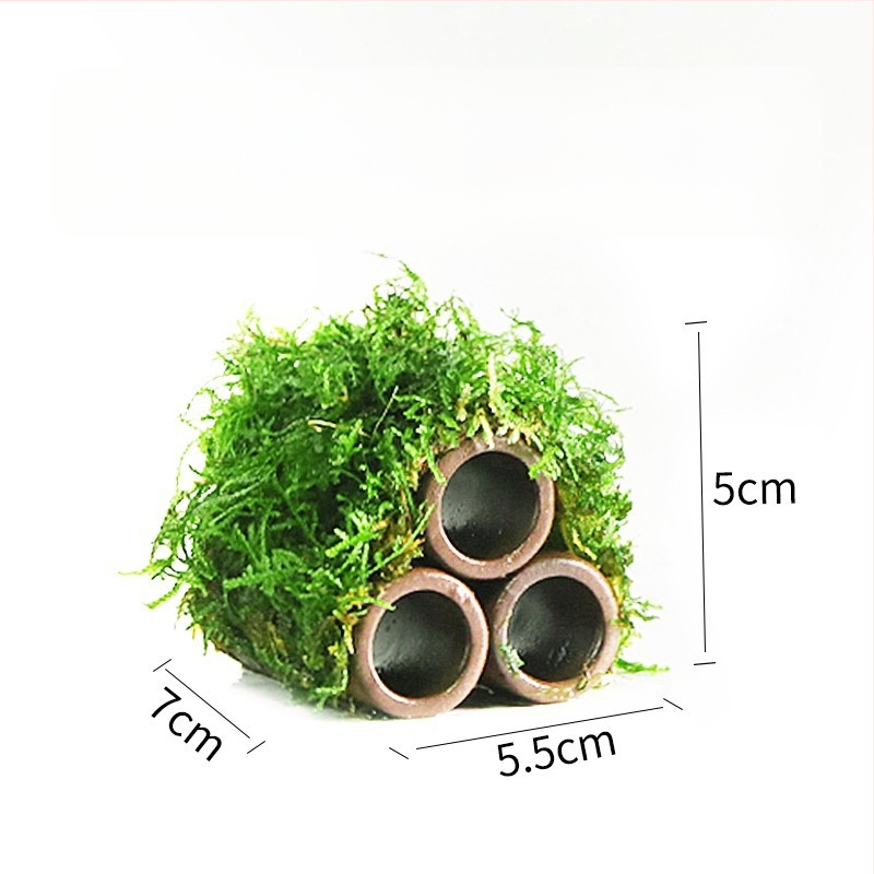 Keraminė akvariumo dekoracija – prieglobai ir kraštovaizdžiui; Prekės ženklas Crazy aquatic plants; Medžiaga keramika; Funkcija: prieglobai ir kraštovaizdžiui; Pagrindinis tikslas: kraštovaizdis, prieglobas