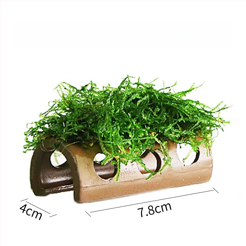 Keraminė akvariumo dekoracija – prieglobai ir kraštovaizdžiui; Prekės ženklas Crazy aquatic plants; Medžiaga keramika; Funkcija: prieglobai ir kraštovaizdžiui; Pagrindinis tikslas: kraštovaizdis, prieglobas