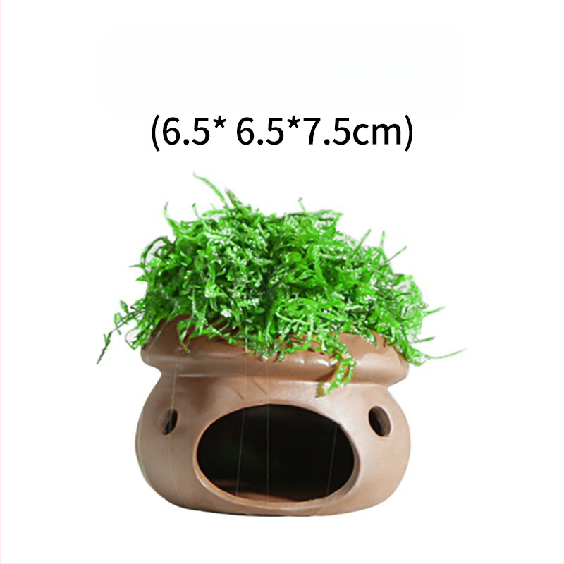 Keraminė akvariumo dekoracija – prieglobai ir kraštovaizdžiui; Prekės ženklas Crazy aquatic plants; Medžiaga keramika; Funkcija: prieglobai ir kraštovaizdžiui; Pagrindinis tikslas: kraštovaizdis, prieglobas