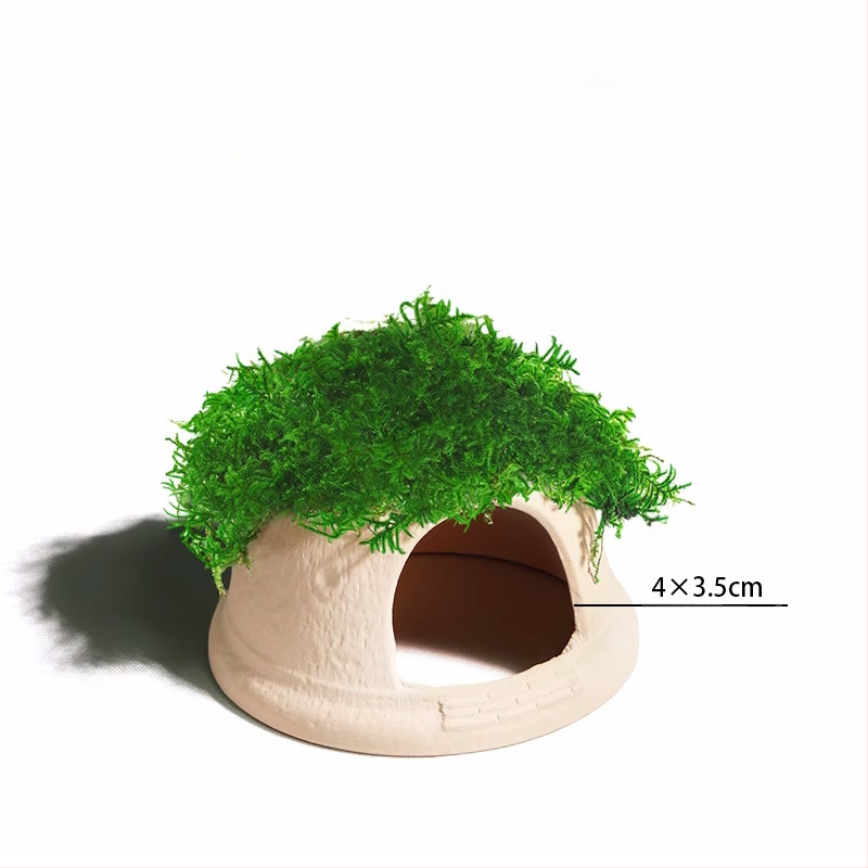 Keraminė akvariumo dekoracija – prieglobai ir kraštovaizdžiui; Prekės ženklas Crazy aquatic plants; Medžiaga keramika; Funkcija: prieglobai ir kraštovaizdžiui; Pagrindinis tikslas: kraštovaizdis, prieglobas