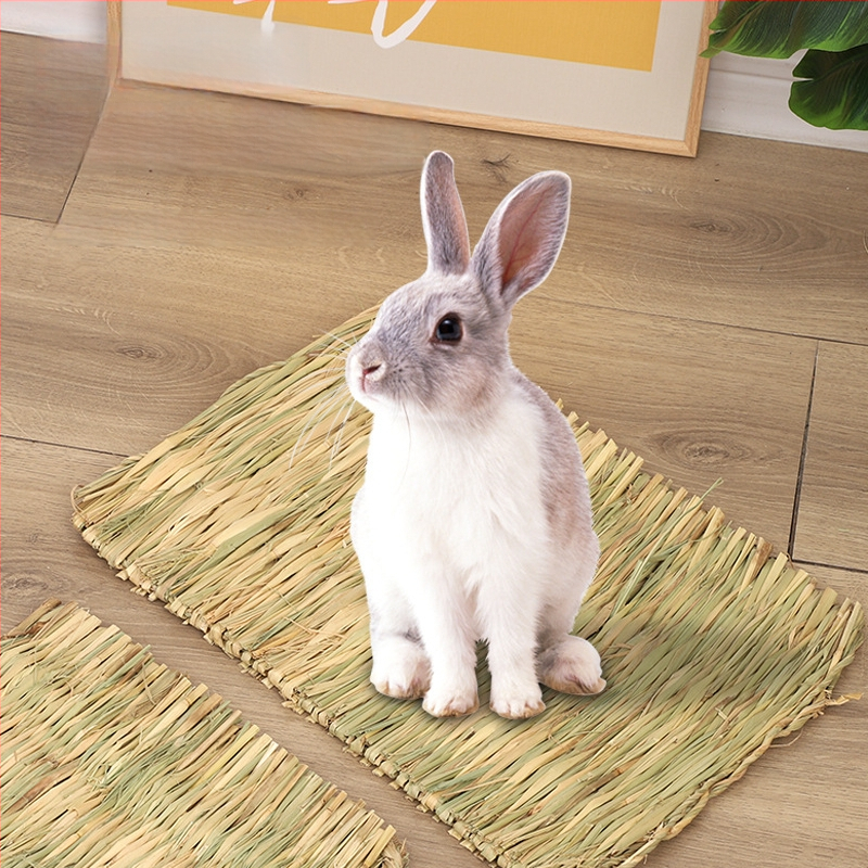 Šiaudų lizdas mažiems naminiams gyvūnėliams – be importo, prekės ženklas Other, kategorija: lizdas