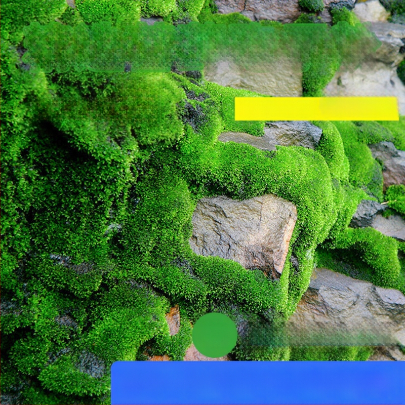 Moho sporu milteliai mikropeizažams ir bonsajams — Independence prekės ženklas, neimportuota