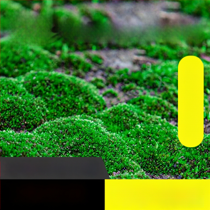 Moho sporu milteliai mikropeizažams ir bonsajams — Independence prekės ženklas, neimportuota