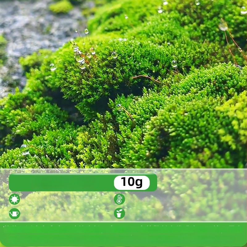 Moho sporu milteliai mikropeizažams ir bonsajams — Independence prekės ženklas, neimportuota