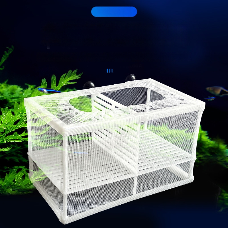 Inkubavimo/izoliacijos tinklas mažoms žuvelėms – plastmasinis, GL stilius, kategorija: inkubacija/izoliacija, skirtas jaunikliams žuvims ir Betta žuvims