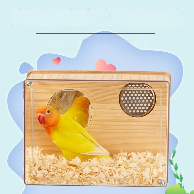 Paukščių veisimo lizdo dėžė - Mažas kūno tipas - Amžius: Suaugęs - Kilmė: Shandong - Importuota: Ne