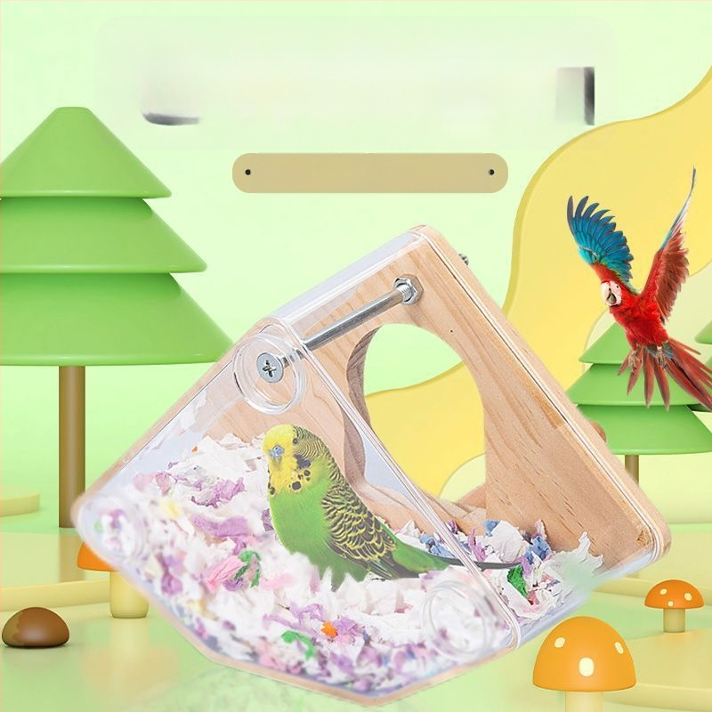 Paukščių veisimo lizdo dėžė - Mažas kūno tipas - Amžius: Suaugęs - Kilmė: Shandong - Importuota: Ne