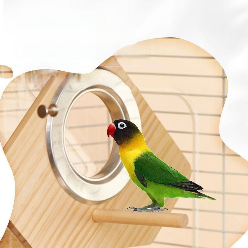 Paukščių veisimo lizdo dėžė - Mažas kūno tipas - Amžius: Suaugęs - Kilmė: Shandong - Importuota: Ne