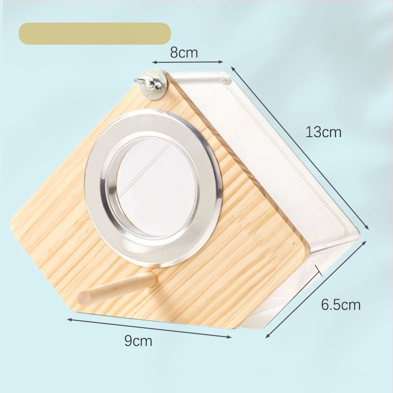 Paukščių veisimo lizdo dėžė - Mažas kūno tipas - Amžius: Suaugęs - Kilmė: Shandong - Importuota: Ne