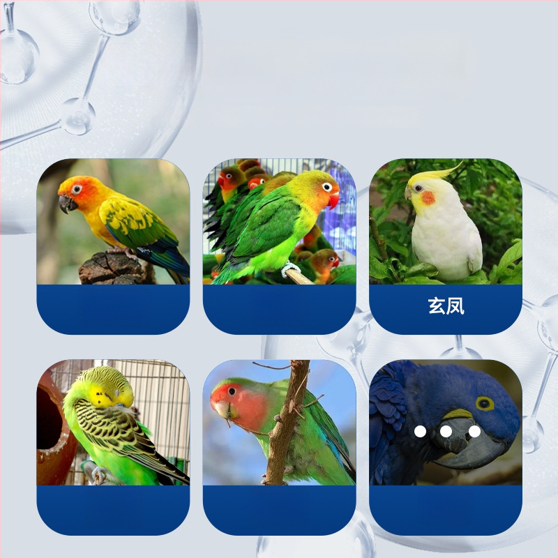 Papagoidele elektrolüütide toidulis probiootikumidega - vedel, kaubamärk Puno