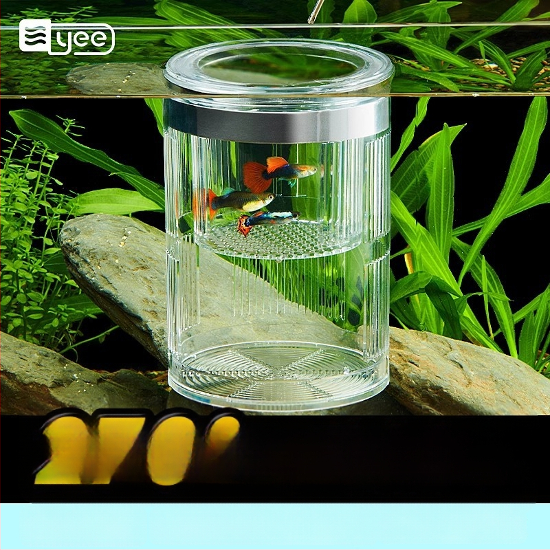 Guppy inkubatoriaus dėžė – akrilas, inkubavimas mažoms žuvelėms, akvariumo įranga, Yee prekės ženklas