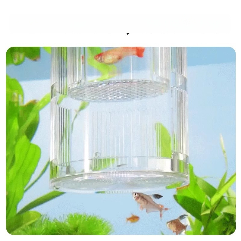 Guppy inkubatoriaus dėžė – akrilas, inkubavimas mažoms žuvelėms, akvariumo įranga, Yee prekės ženklas