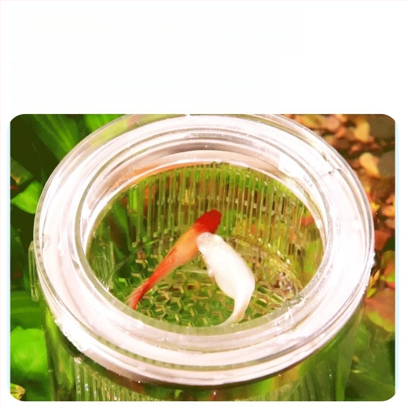 Guppy inkubatoriaus dėžė – akrilas, inkubavimas mažoms žuvelėms, akvariumo įranga, Yee prekės ženklas