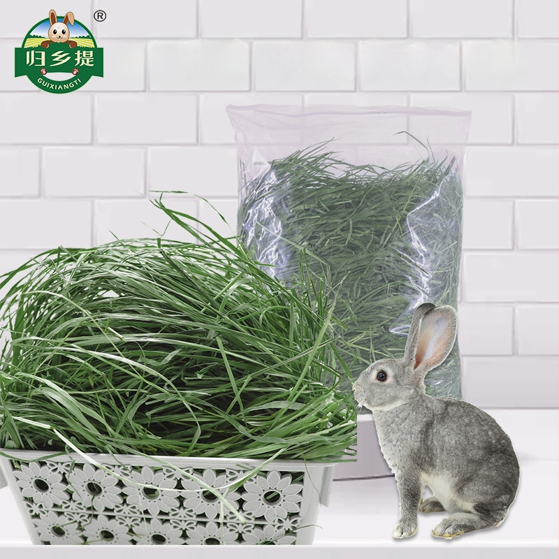 Sausa Timothy žolė mažiems naminiams gyvūnėliams – daugialapė Timothy žolė, 500 g, Ziplock paketėlis