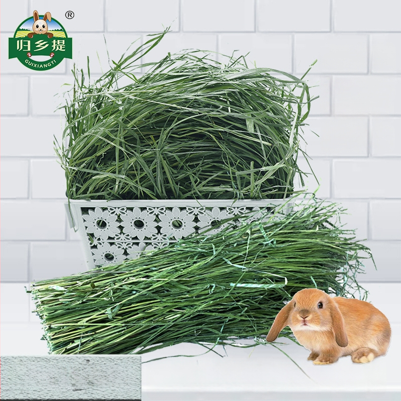 Sausa Timothy žolė mažiems naminiams gyvūnėliams – daugialapė Timothy žolė, 500 g, Ziplock paketėlis