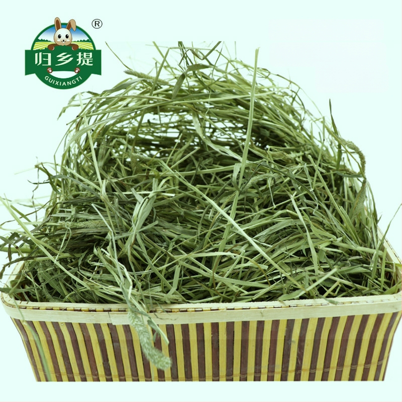 Džiovinta Timotijo žolė – suaugusiems triušiams