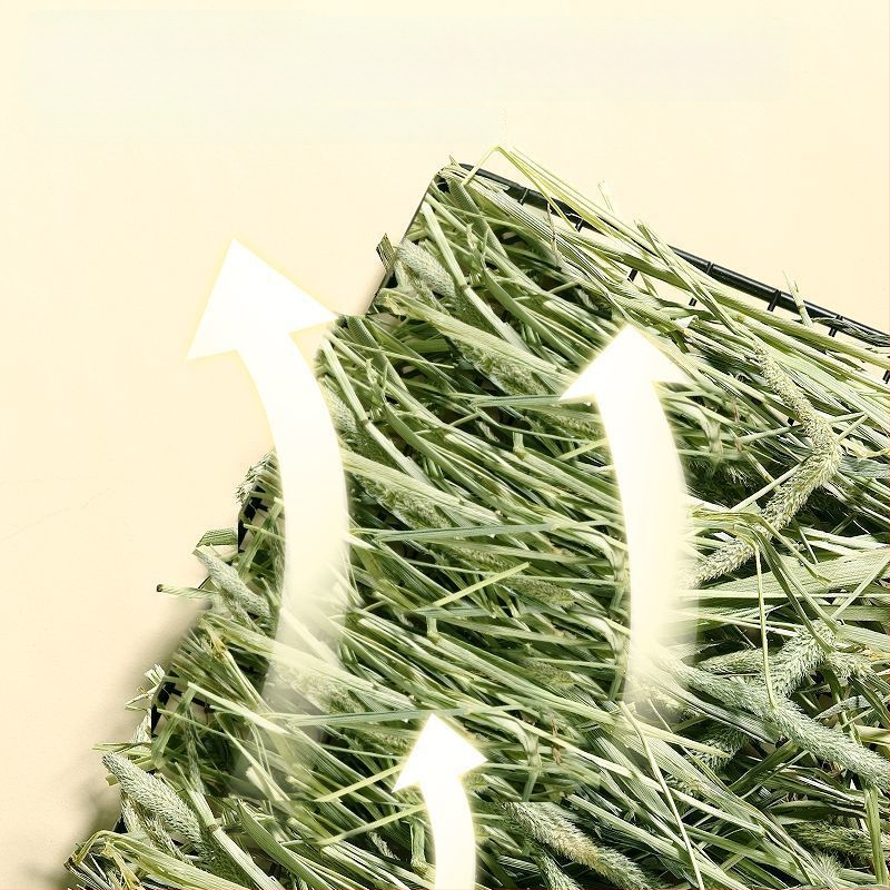 Džiovinta Timothy žolė – džiovinta sausa ėdalas triušiams ir kiaulytėms – 500 g jauniesiems gyvūnėliams