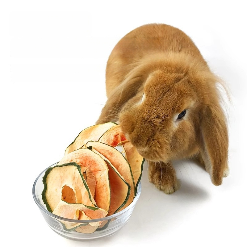 Kuivtoit lemmikloomadele — papaia viilud närimiseks tasuks, interaktiivne mänguasi väikeste lemmikloomade jaoks; Radish valley