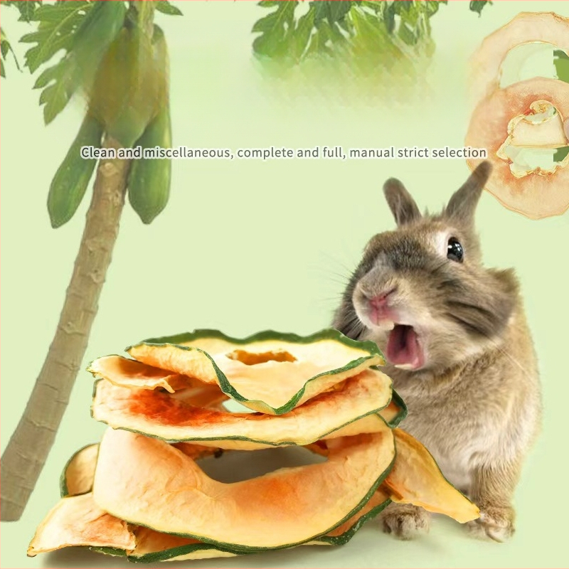 Kuivtoit lemmikloomadele — papaia viilud närimiseks tasuks, interaktiivne mänguasi väikeste lemmikloomade jaoks; Radish valley