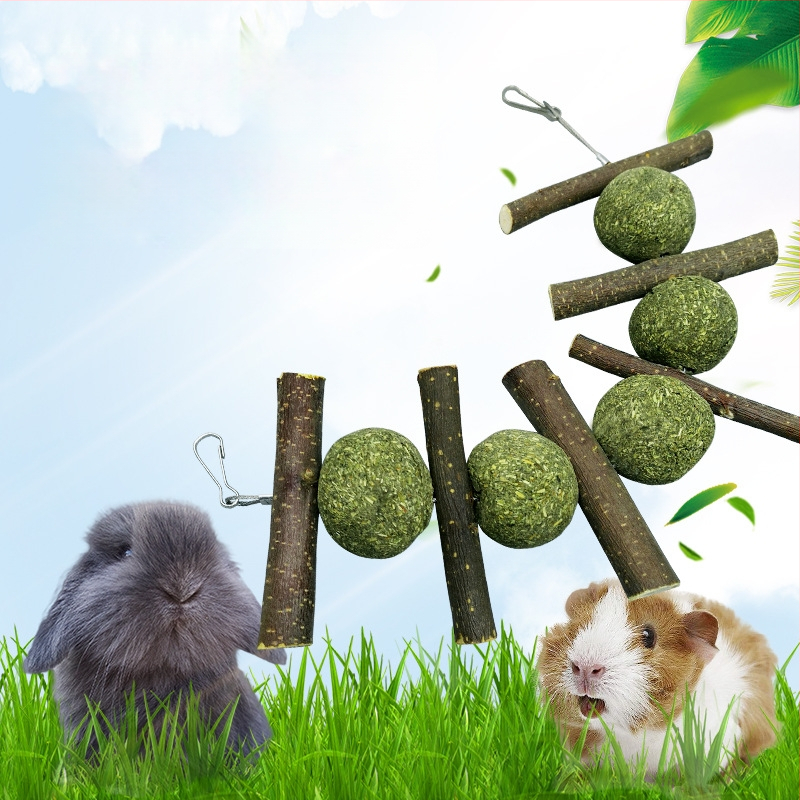 Rohi pall köiega ja õunapuu oksaga närimiseks – väikelemmikloomadele mõeldud mänguasja • Kuivtoit • 100 g • 1 pakk • Päritolu: Anhui • Bränd: Radish Valley