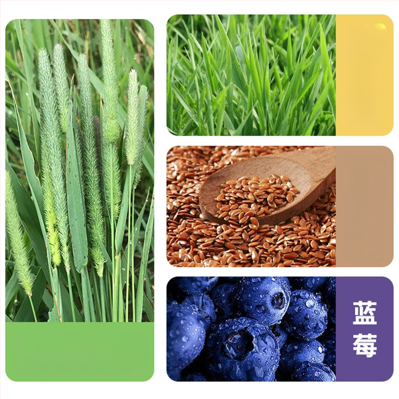 Kuiv toit täiskasvanud küülikutele — porgandid, mustikad ja Timotija heina, Radish Valley, kood 0034, 20 tk