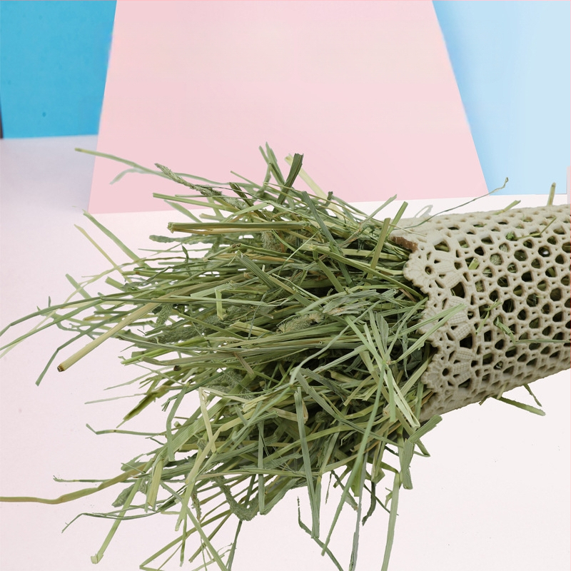 Oras džiovinta Timothy žolė triušiams, činčilėms ir jūrų kiaulėms – suaugusiųjų sausas maistas