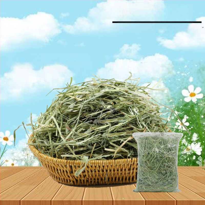 Oras džiovinta Timothy žolė triušiams, činčilėms ir jūrų kiaulėms – suaugusiųjų sausas maistas