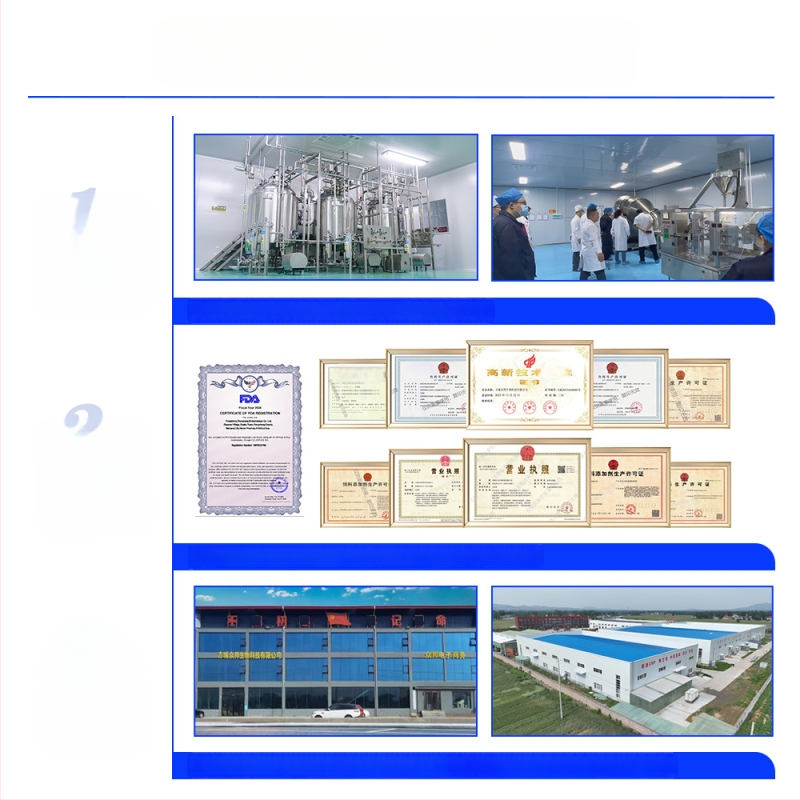 Gyvūnų probiotikai katėms ir šunims, bendro naudojimo formulė, 50 g per dėžutę, 100 dėžučių kartone, Xin daming prekės ženklas