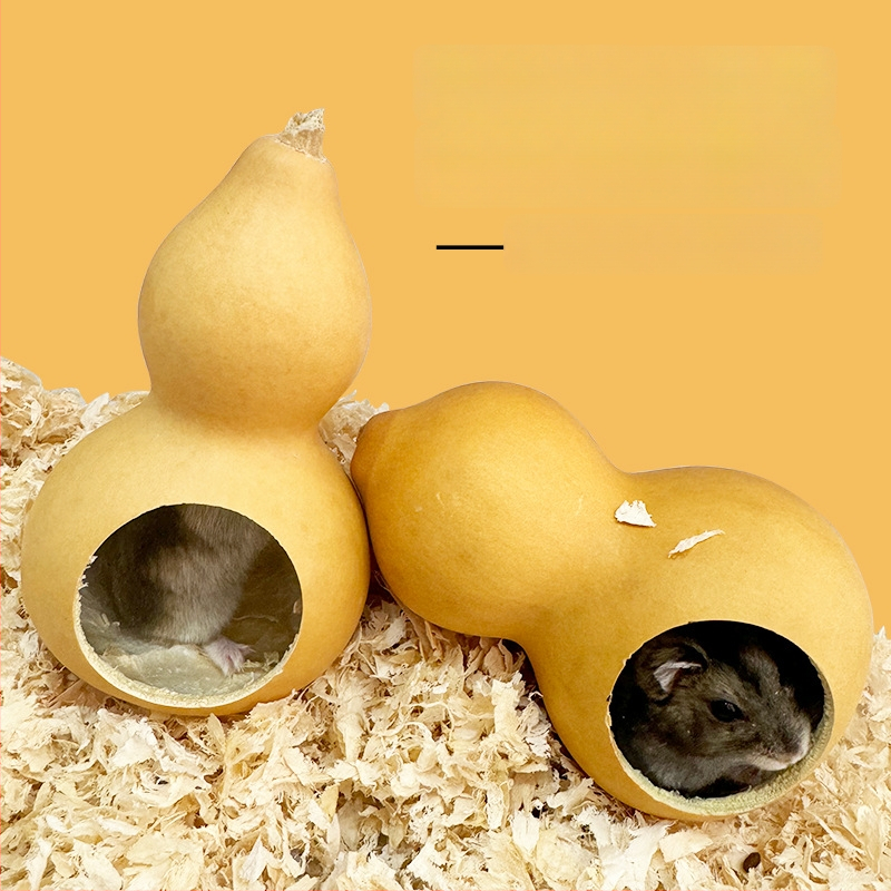 Kõrvitsakujuline hamstrimaja kõikide aastaaegade jaoks