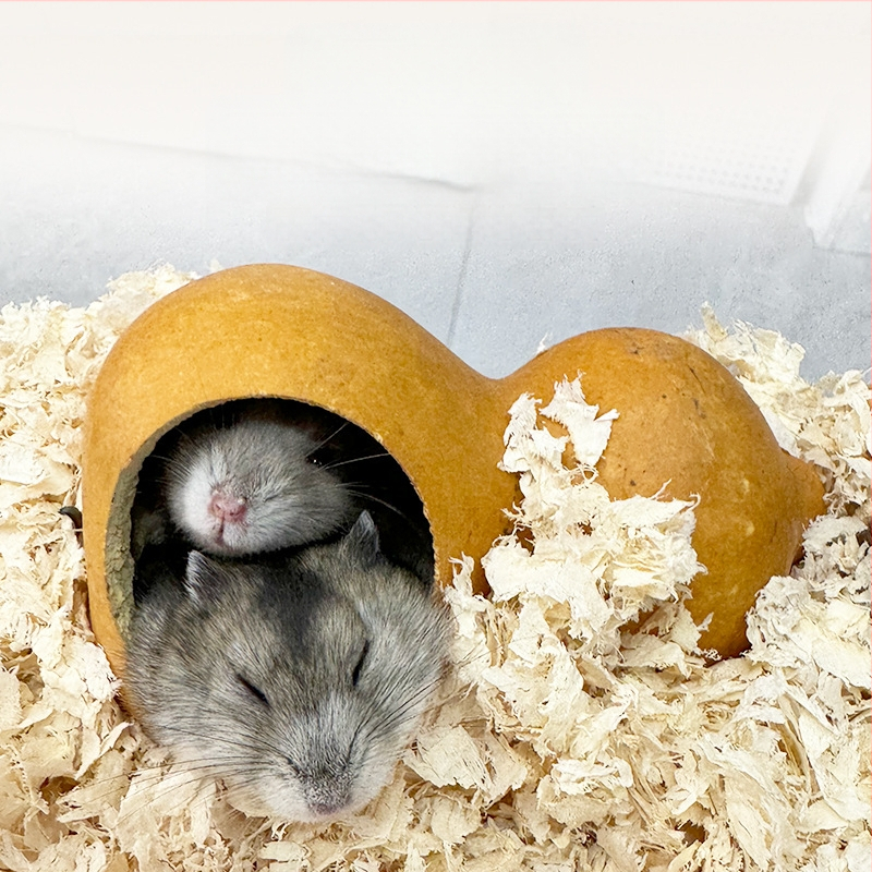 Kõrvitsakujuline hamstrimaja kõikide aastaaegade jaoks