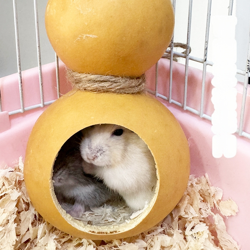 Kõrvitsakujuline hamstrimaja kõikide aastaaegade jaoks