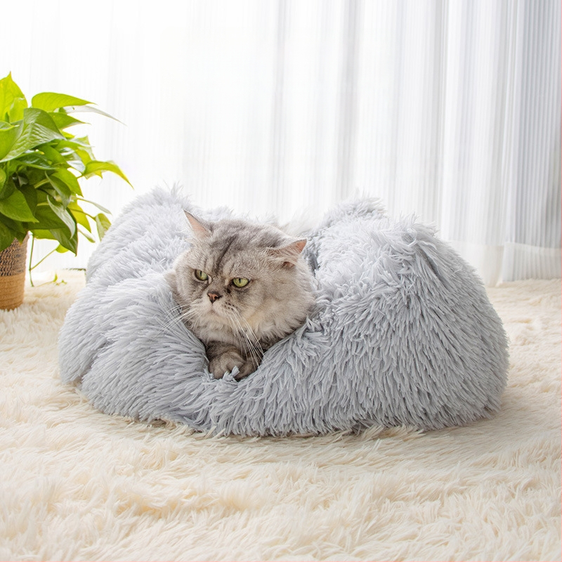 Kassi pesa – plüüs, Leyoupai, kassidele, päritolu Zhejiang