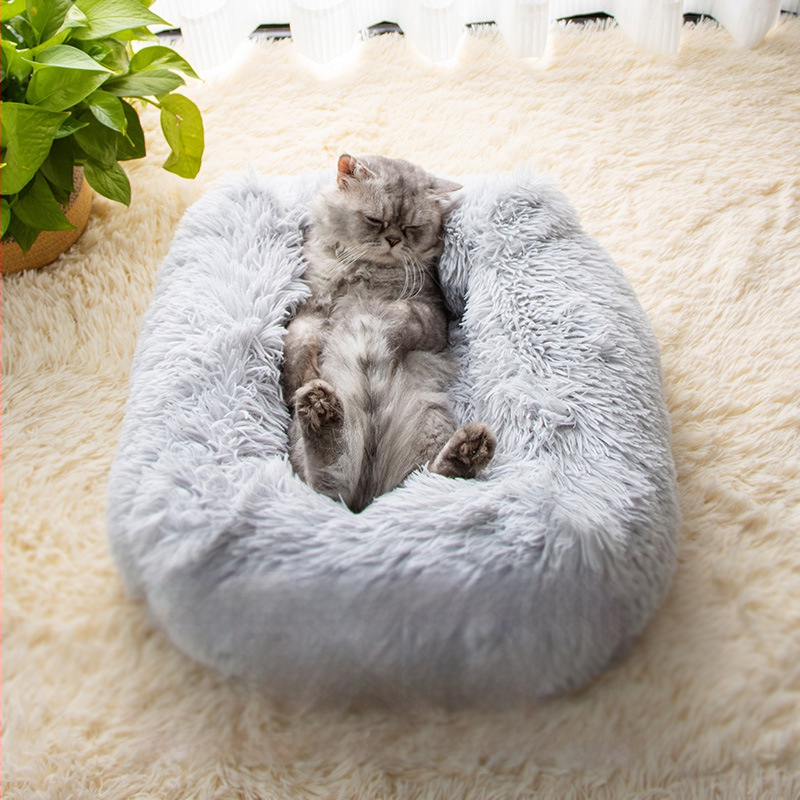 Kassi pesa – plüüs, Leyoupai, kassidele, päritolu Zhejiang