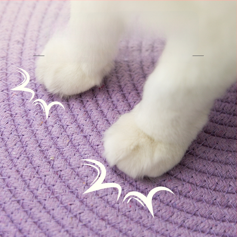 Nerve cat kassipesa puuvillase köiega