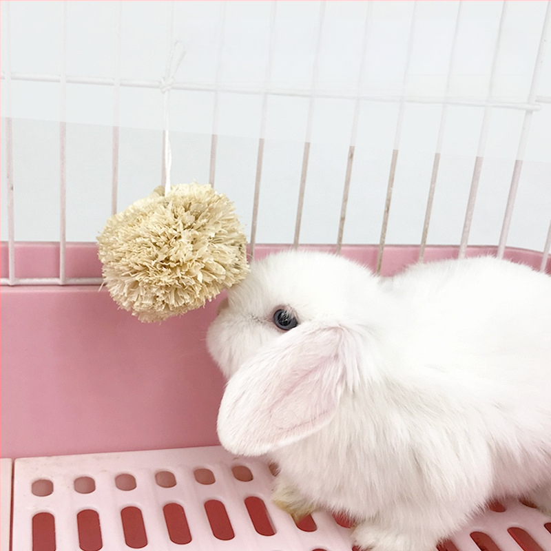 Sausa pašaro mažiems gyvūnams: triušiams, hamsters, žiurkėnams ir činčiloms; sudėtis: morkų/žolė tortas; pakuotė 80 vnt.; svoris apie 200 g