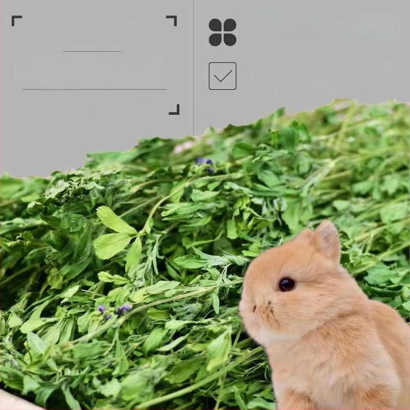 Märg toit lucerna baasil täiskasvanud küülikutele, tšintsillidele ja guinea fokidele — Bränd: Appointment with rats