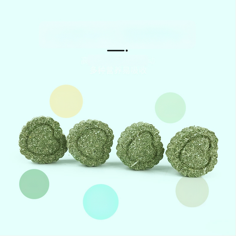 Carrot Valley Timothy Grass kuiva toit jänestele, činčilile, hamstritele ja merisigadele — umbes 15 g