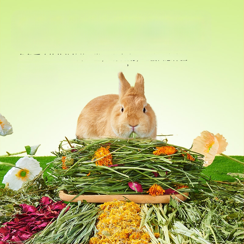 Yee triušių šienas — 12 rūšių: timotijų žolė, liucerna, avižos, mėtos, cikorijos žolė; džiovintas pašaras naminiams gyvūnams, 500 g, 1 pakuotė