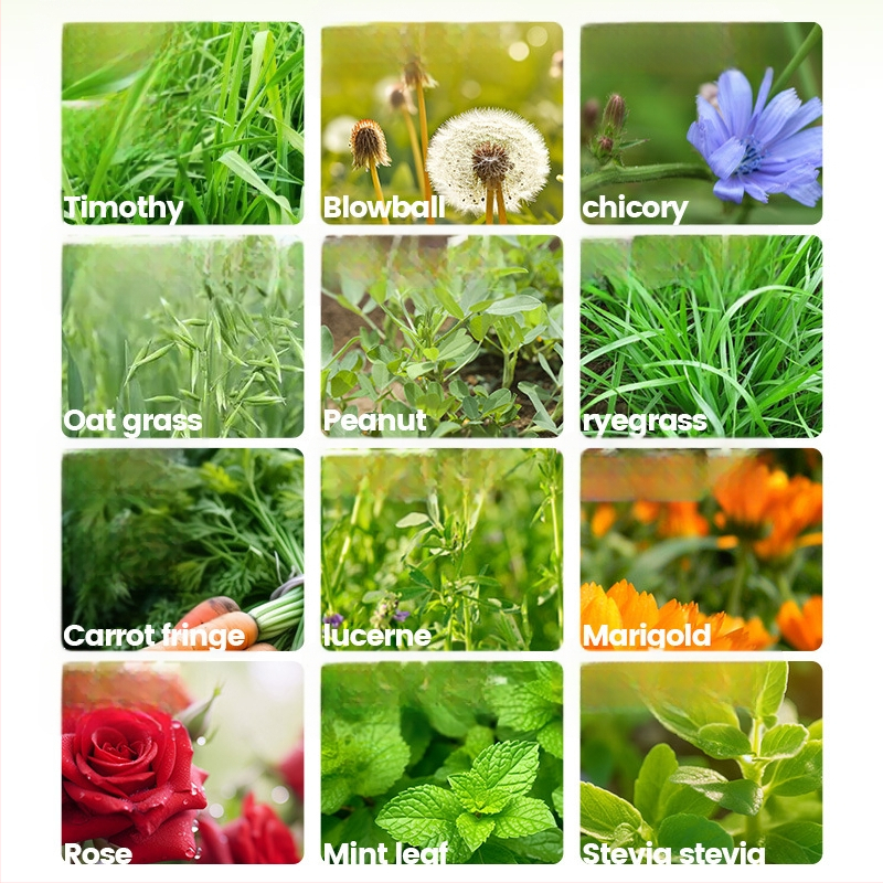 Yee triušių šienas — 12 rūšių: timotijų žolė, liucerna, avižos, mėtos, cikorijos žolė; džiovintas pašaras naminiams gyvūnams, 500 g, 1 pakuotė