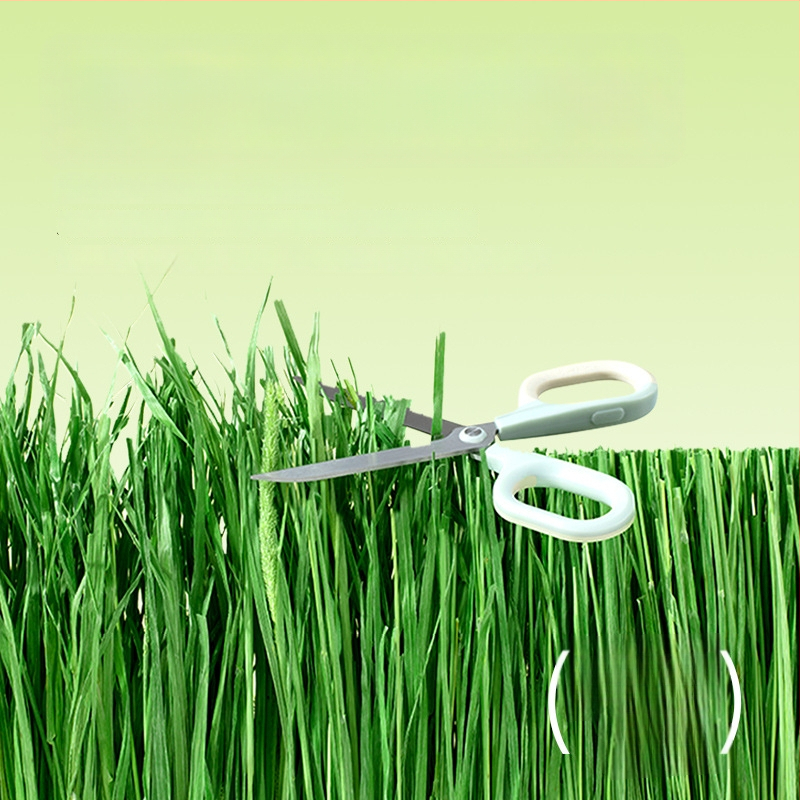 Yee triušių šienas — 12 rūšių: timotijų žolė, liucerna, avižos, mėtos, cikorijos žolė; džiovintas pašaras naminiams gyvūnams, 500 g, 1 pakuotė