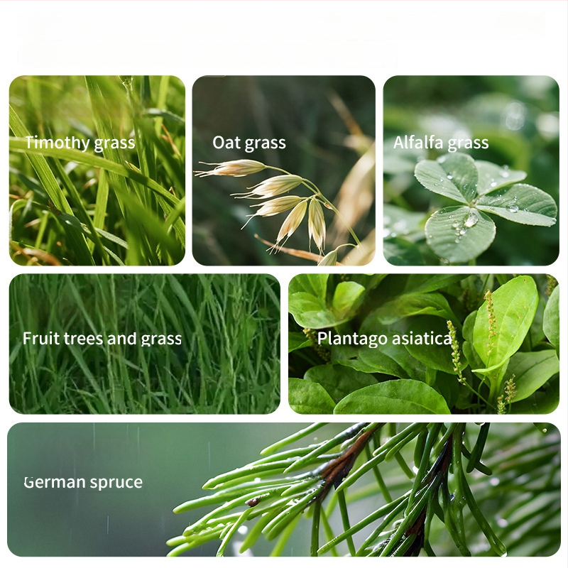 Džiovinta maisto gyvūnėliams, Yee prekinis ženklas, universalus naudojimas, 1 dėžutė