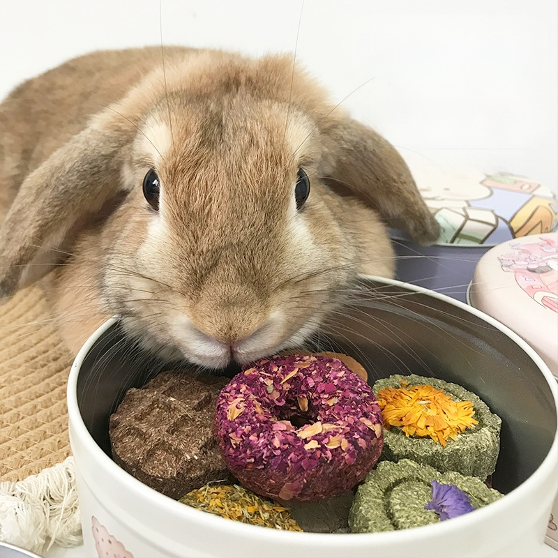 Sausas maistas mažiems naminiams gyvūnėliams — Carrot valley, kilmė Anhui, vietinis produktas, tinkamas visoms vystymosi stadijoms