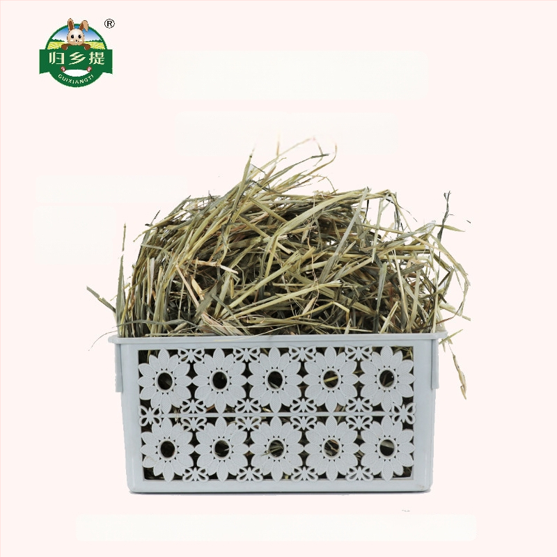 Homecoming Sausa barība trušiem un činčillām – kviešu zāle, 500 g, Ziplock somiņa, kaltēta