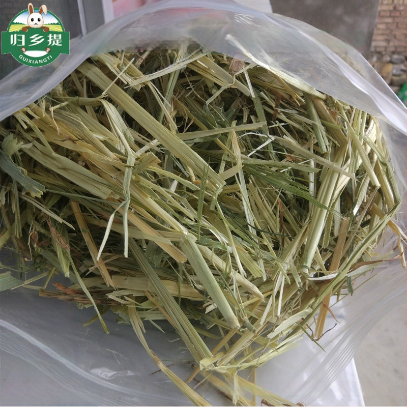 Homecoming Sausa barība trušiem un činčillām – kviešu zāle, 500 g, Ziplock somiņa, kaltēta