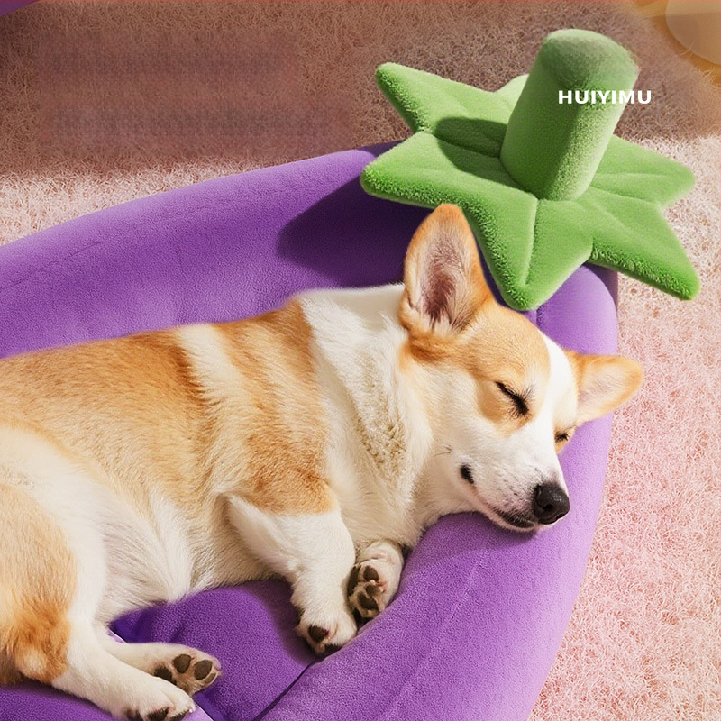 Koera pesa kristallse sametiga mäluvahtuga, eemaldatav ja pestav