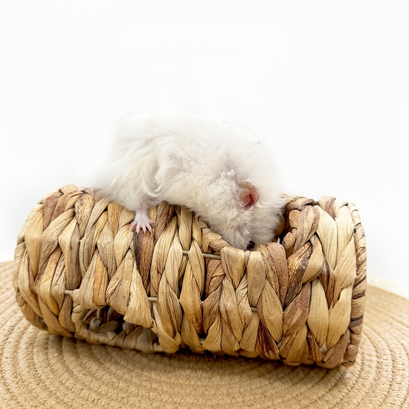 Hamsteri pesakodu ja tunnel veekõrva rohust - looduslik materjal, päritolu Anhui, Mitte imporditud