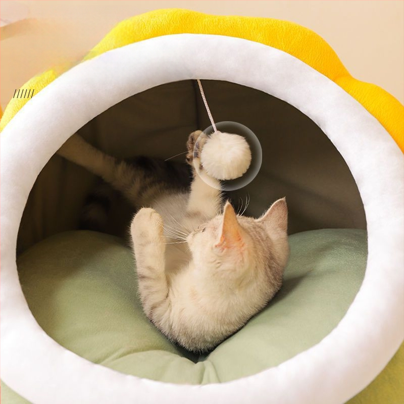 Armas dinosaurus-kassi pesa — poolkinnine, kõigi aastaaegade jaoks, KUCHI