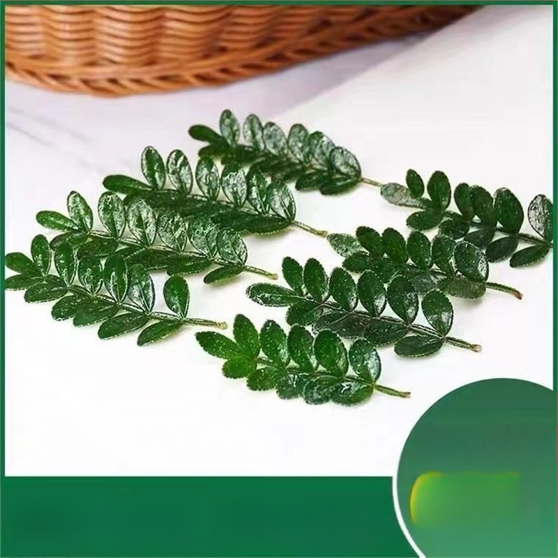 Söödavad lehed kookide kaunistamiseks — lõhnav puidust taim potis, Pepper Wood, tootekood 33699