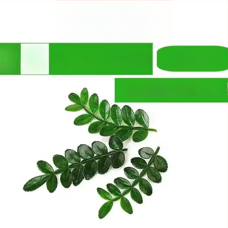 Söödavad lehed kookide kaunistamiseks — lõhnav puidust taim potis, Pepper Wood, tootekood 33699